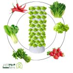 tower aeroponic